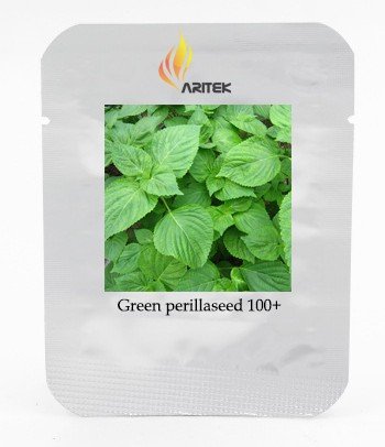 JMS Heirloom Green Perilla Seeds, Professional Pack, 100 Seeds / Pack, Organic ReJMSing Herbs E3380