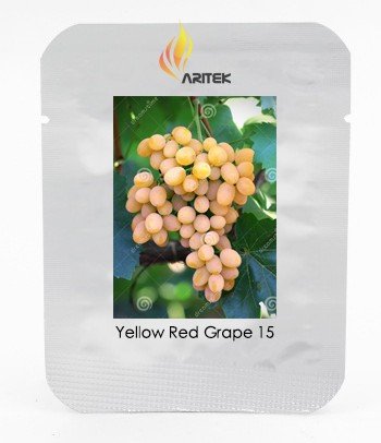 JMS Rare Yellow Red Cluster Of Grape Organic Seeds, Professional Pack, 15 Seeds / Pack, Hardy Tasty 