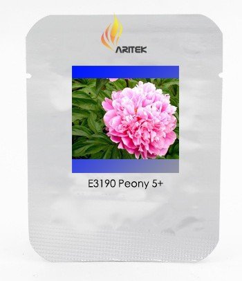 JMS Heirloom 'Jin Guang San Hui' Pink Chinese Peony Flower Root Seeds, Professional Pack, 5 Seeds / 