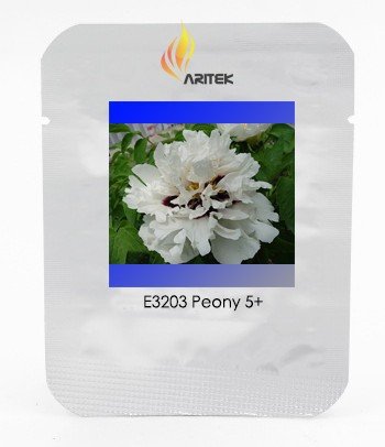 JMS Rare Heirloom 'Xue Shan Jin Ding' White Black White Black Peony Tree Flower Seeds, Professional 