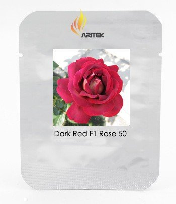 JMS Large Dark Red F1 Rose Flower Seeds, Professional Pack, 50 Seeds / Pack, Strong Fragrant Flower 