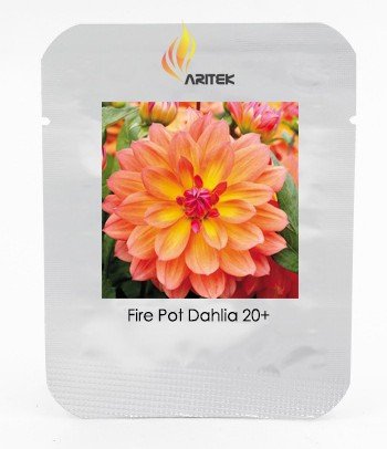 JMS Heirloom 'Fire Pot' Dahlia Flower Seeds, Professional Pack, 20 Seeds / Pack, Bloom First Year Do