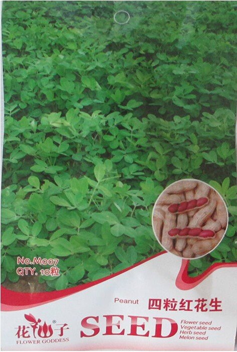 JMS 1 Original Pack, 10 Seeds / Pack, Chinese 4 Pcs Peanut Seeds In One Shell With Red Skin Organic 