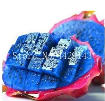 JMS Dragon Fruit Rare, Blue