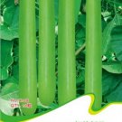 JMS Green Long Club Bottle Gourd Fruit Seeds, Original Pack, 10 Seeds / Pack, Non-Gmo Edible Gourds 
