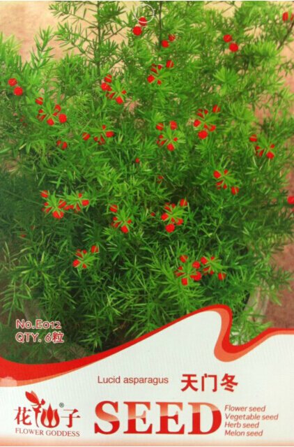 JMS 1 Original Pack, 6 Seeds / Pack, Lucid Asparagus Chinese Herbs Seeds #E012
