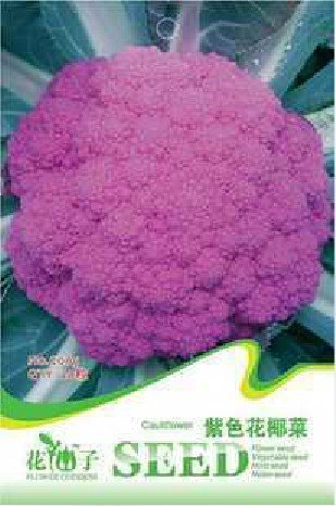 JMS Heirloom Purple Sicily Cauliflower Organic Vegetable Seeds, Original Pack, 20 Seeds / Pack, Broc