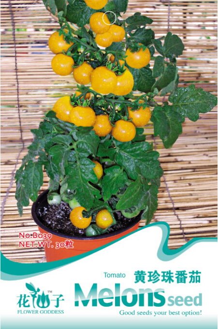 JMS Rare Heirloom Yellow 'Pearl' Cherry Tomato Organic Seeds, Original Pack, 30 Seeds / Pack, Sweet 
