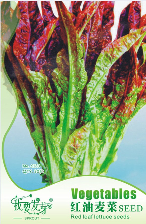 JMS Original Pack, 30 Seeds / Pack, Red Salad Bowl Leaf Lettuce Seeds Lactuca Organic Heirloom Veget