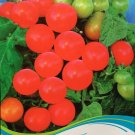 JMS Rare Red Bonsai Dwarf Tomato 'Chong Ming' Organic Seed, Original Pack, 30 Seeds / Pack, Very Swe