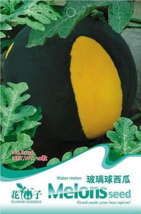 JMS Black Yellow Skin Red Watermelon 'Crystal Ball' Seeds, Original Pack, 10 Seeds / Pack, Sweet Wat