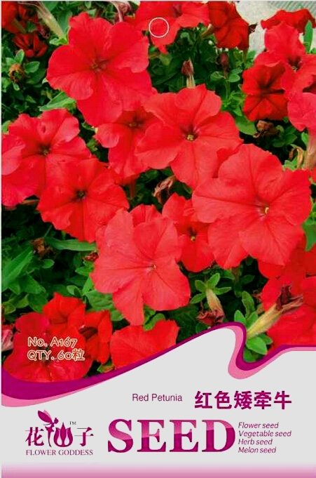 JMS Heirloom Red Garden Petunia Hybrida Annual Flower Seeds,  60 Seeds / Pack, Long Blooming Flower