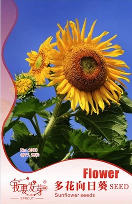 JMS Original Pack, 25 Seeds / Pack, Ornamental Sunflower Seed Garden Flower High Germination #A00288