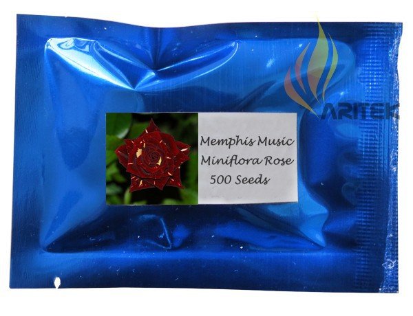 JMS 1 Professional Pack, 500 Seeds / Pack,  Memphis Music Miniflora Rose,  Rose Bush Deep Red White