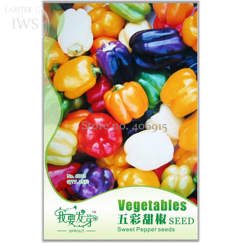 JMS Colorful Sweet Pepper High-Quality Multicolored Pepper Seeds,Original Pack,  25 Seeds, Balcony F