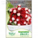 JMS Sausage Radish Seeds Balcony Potted Vegetable Fruit Belle Radish Seeds,Original Pack,  35 Seeds,