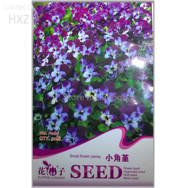 JMS Perennial Small Flower Pansy Seeds, Original Package, 30 Seeds, Quality Potted Flower Seeds Orna