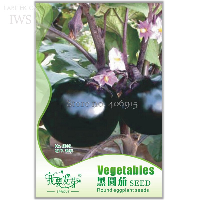 JMS Heirloom Black Round Eggplant Seeds, Original Pack, 30 Seeds, Natural Healthy Organic Vegetables