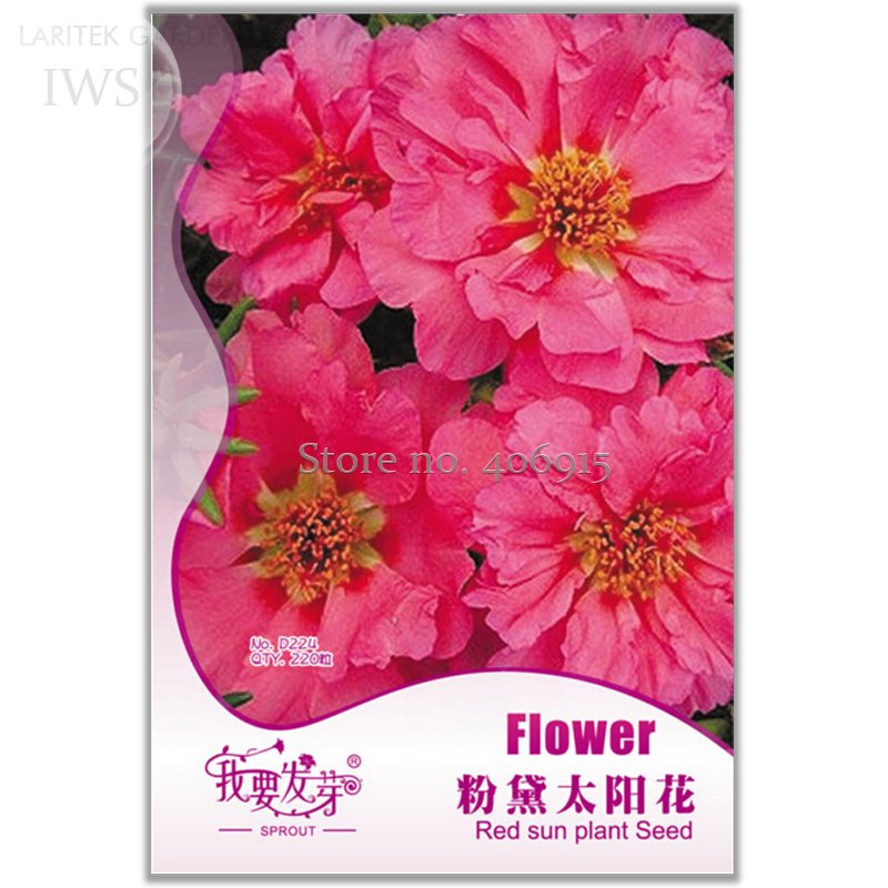 JMS Beautiful Red Sun Plant Flower Seeds, Original Pack, 220 Seeds, Potted Garden Seeds Light Up You