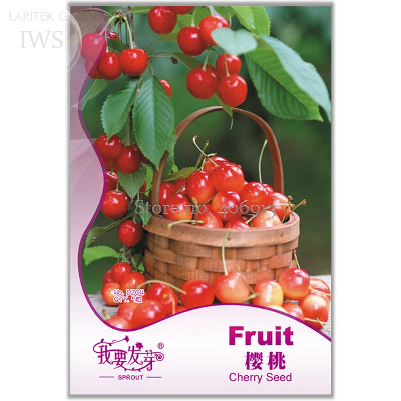 JMS Super Sweet Bonsai Cherry Fruits Seeds, Original Pack, 5 Seeds, Nutritious Delicious Cherry Frui