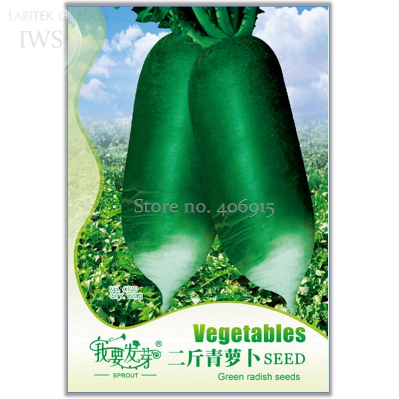 JMS Green Radish Seed Best Garden Plants Vegetable Seeds, 60 Seeds, Natural Organic Vegetables Iwsc1