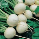 JMS White Egg Snowball Turnip, 100 Seeds, Organic Chinese Vegetables E3923