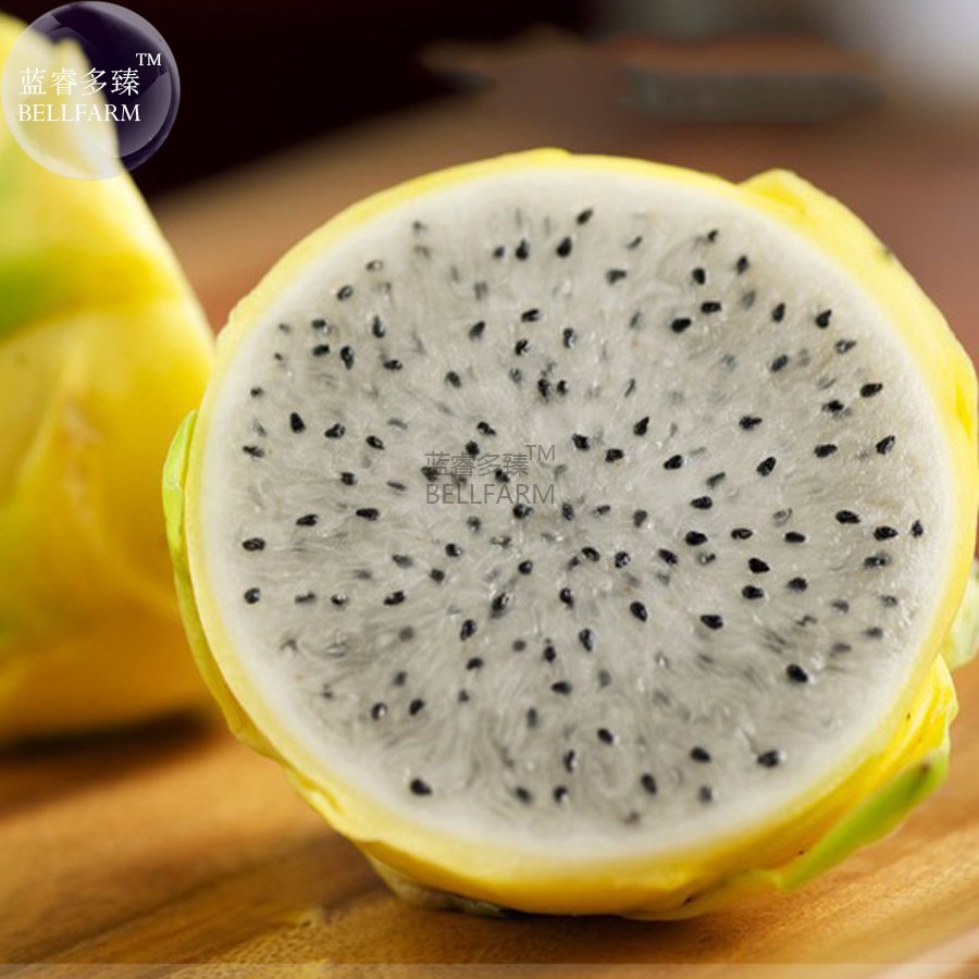 JMS  Rare Large Yellow Dragon Fruit  Pitaya Organic Seeds, Professional Pack, 30 Seeds / Pack, Sweet