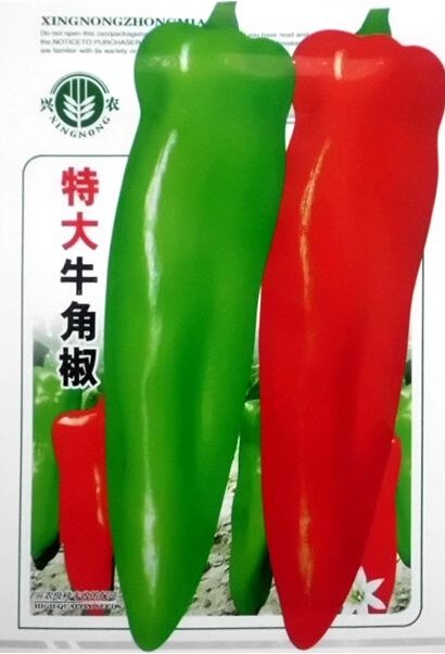 JMS Heirloom Long Giant Ox Horn Sweet Pepper Organic Seeds, Original Pack, 100 Seeds / Pack, Green R