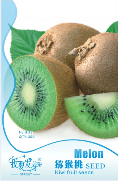 JMS 10 Original Packs, 30 Seeds / Pack, Exotic Fruits Hardy Kiwi Vine Fruit Delicious Fruits