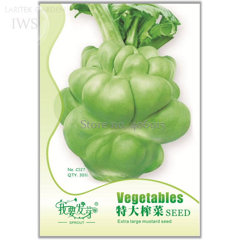 JMS Heirloom Organic Green Leaf Mustard Brassica Juncea Vegetables Seeds, Original Pack , 30 Seeds, 