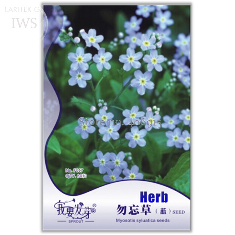 JMS Blue Myosotis Sylvatica Forget-Me Flower Seeds, Original Pack, 60 Seeds, Perennial Potted Plant 