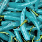 JMS Blue Turquoise Chili Pepper, 20 Seeds, Rare Heirloom Hybrid Edible Vegetables E3799