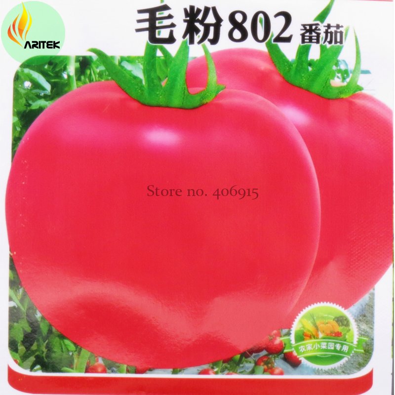 JMS Rare Heirloom 'Mao Fen 802' Pink Big Tomato Organic Seeds, 300 Seeds, Original Pack, Tasty Edibl