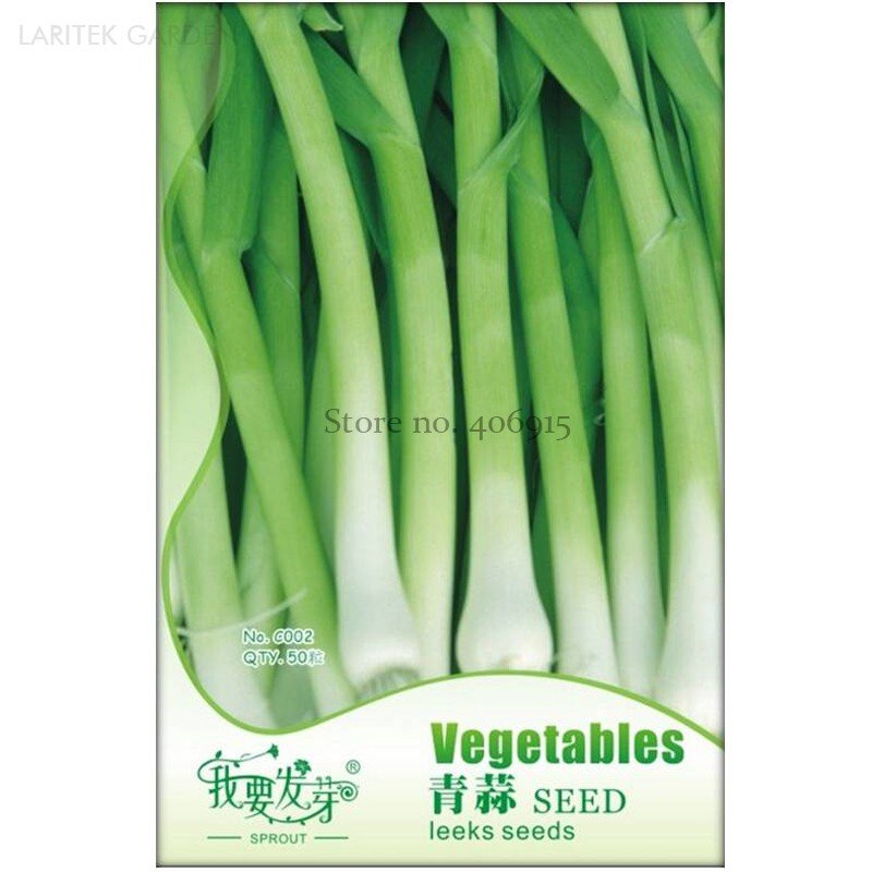 JMS Heirloom Chinese Green Leek Vegetables, Original Pack, 50 Seeds / Pack, Organic  Late Summer / A