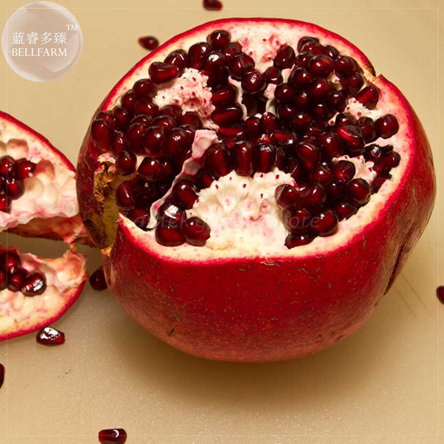 JMS  Giant Pomegranate Seeds, 20 Seeds, Professional Pack, Tasty Organic Fruits Punica Granatum E418