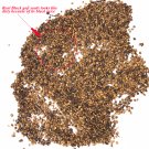 JMS  Black Goji Qinghai Heirloom Herbs Seeds, 20 Seeds, Professional Pack, Tasty Organic Medlar Lyci