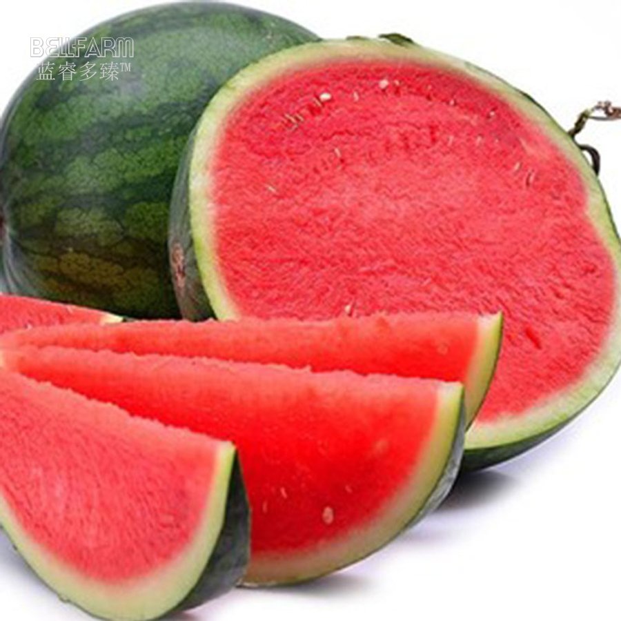 JMS  Watermelon Seedless Pinkish Red Melon Seeds, 20 Seeds, Professional Pack, 15% Sugar Contained H