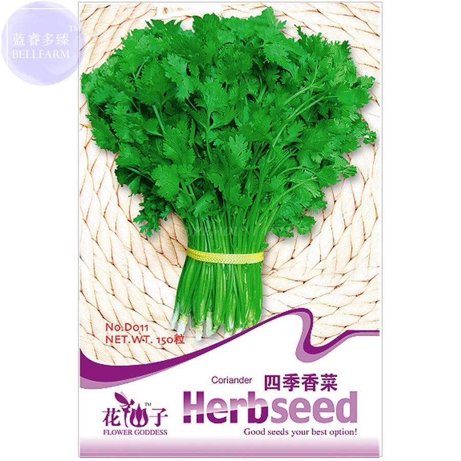 JMS  Coriander Heirloom Chinese Parsley Seeds, 150 Seeds, Original Pack, Tasty Cilantro Organic Vege