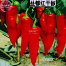 JMS  Red Hot Chili Pepper Seeds, Original Pack, 200 Seeds, Dry Hot Garden Chilli Plant Vegetables E4