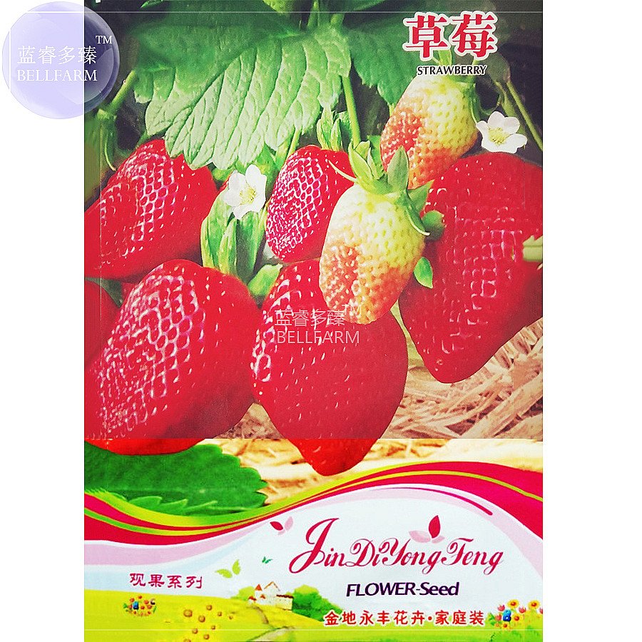 JMS  Giant Strawberry Oblate Red Fruit Seeds, 40 Seeds, Original Pack, Organic Sweet Bonsai Gardenin