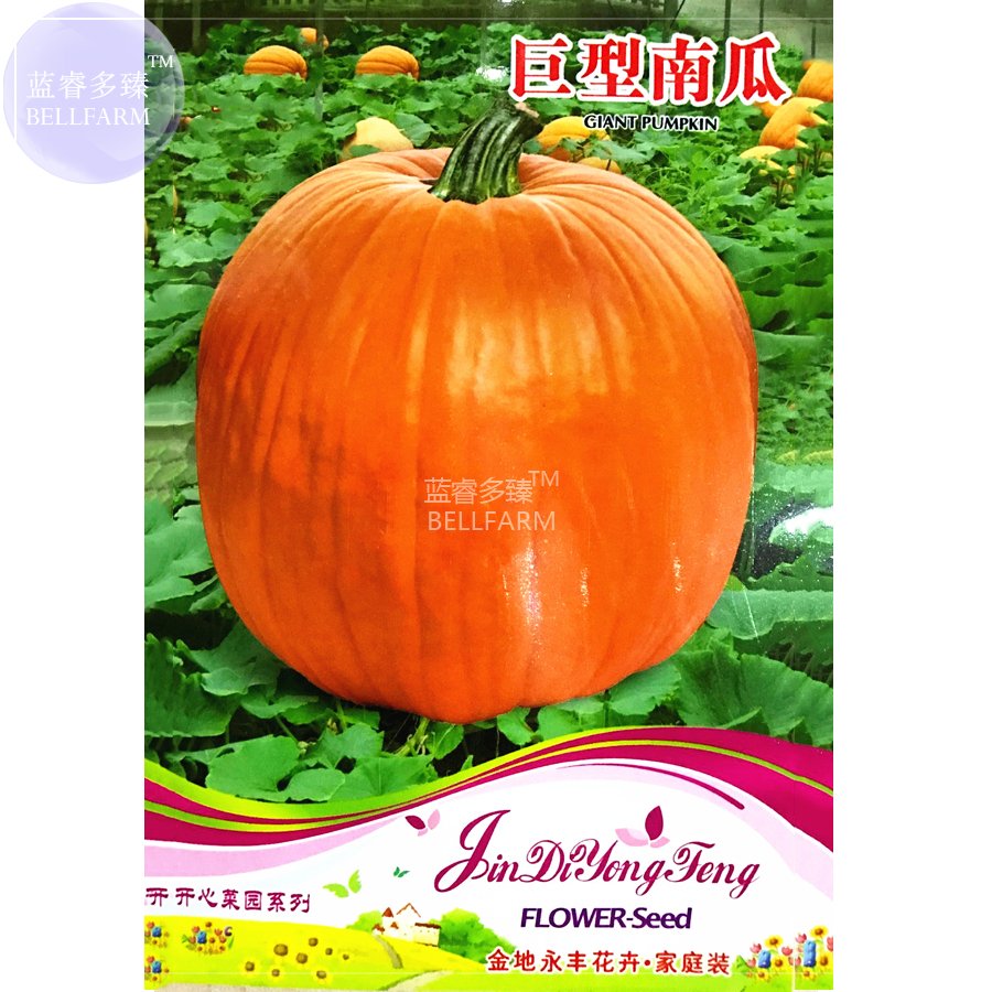 JMS  Giant Pumpink Seeds, 6 Seeds, Original Packs, Ornamental Fruits 50-250Kgs Per Fruits E4305
