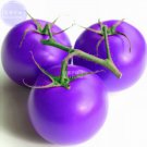 JMS  Tomato Giant Purple Fruit Seeds, 100 Seeds, Professional Pack, Tasty Organic Salad Vegetable Ho