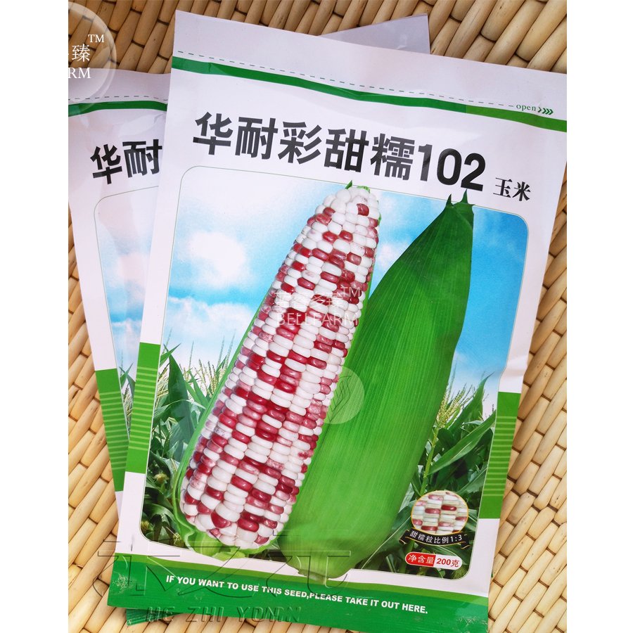 JMS  Corn Colorful Sweet Glutinous Corn Seeds, 200 Grams, Original Pack, Chequered With Purple And W