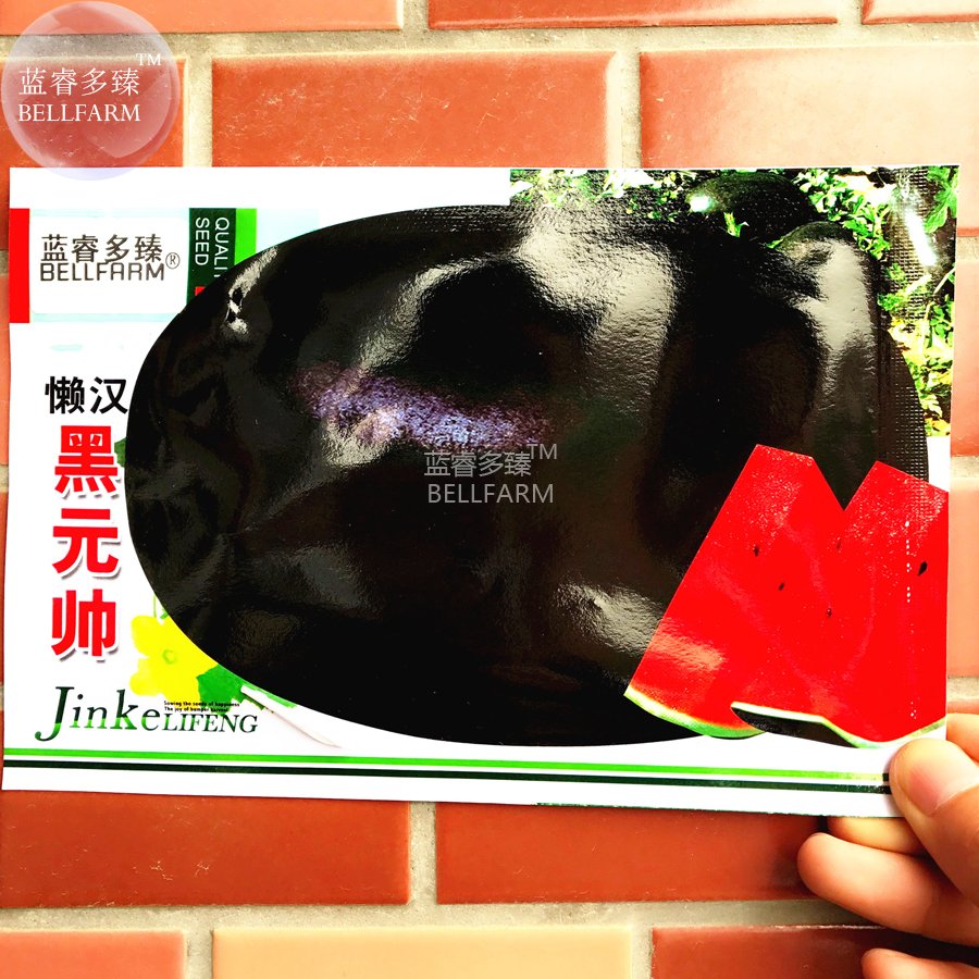 JMS  Watermelom Black Skin JMS Red Inside Big Melon Seeds, 22 Seeds, Original Pack, 13% Sugar Contai