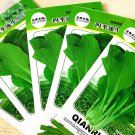 JMS  Green Chinese Vegetables Seeds, 5 Packs, 2000 Seeds/Pack, Fast Growing Little Cabbage Bok-Choy 