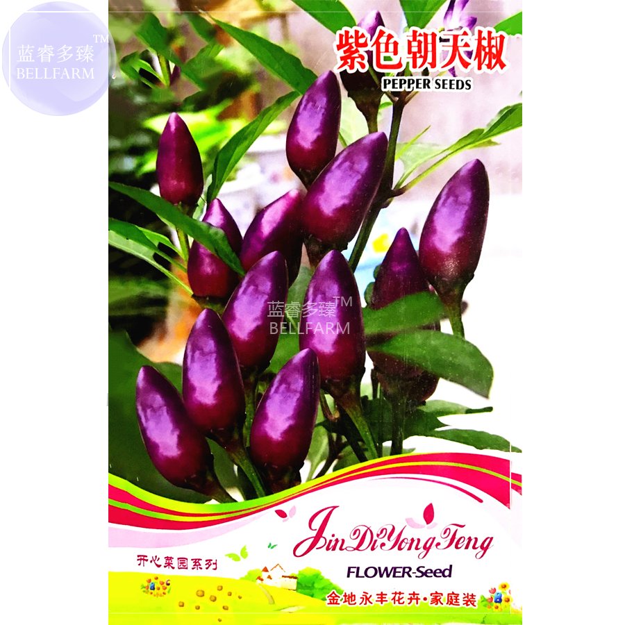 JMS  Pod Pepper Dark Purple Chile Vegetables Seeds, 25 Seeds, Original Pack, Ornamental Hot Bonsai R