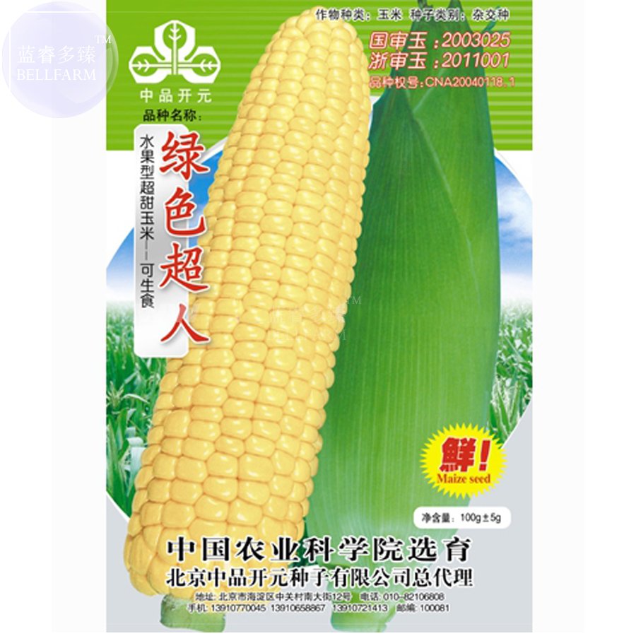 JMS  Super Sweet JMS Yellow Corn High Yield 'Seeds' New Variety, 100Grams Hybrid  For Field Farming 