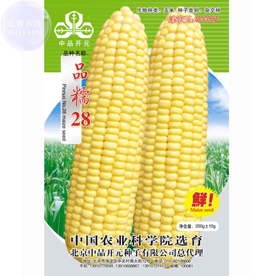 JMS  'Pin Nuo 28' Bright Yellow Corn Hybrid High Yield, 200Grams Strong Glutinous Strong Sweet Fragr