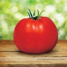 JMS Park'S Whopper Cr Improved Tomato Seeds, Professional Pack, 100 Seeds / Pack, Big Juicy Crack-Re