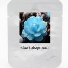 JMS 1 Professional Pack, 100 Seeds / Pack, Bright Blue Lithops Livingstones Seeds Bonsai Indoor